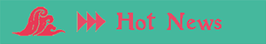 HOT NEWS